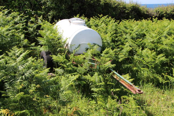 Water bowser lost in fern Old water bowser lost in fern of a field water bowser photos stock pictures, royalty-free photos & images