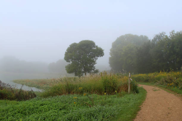 istock Summer morning fog background. 649915270