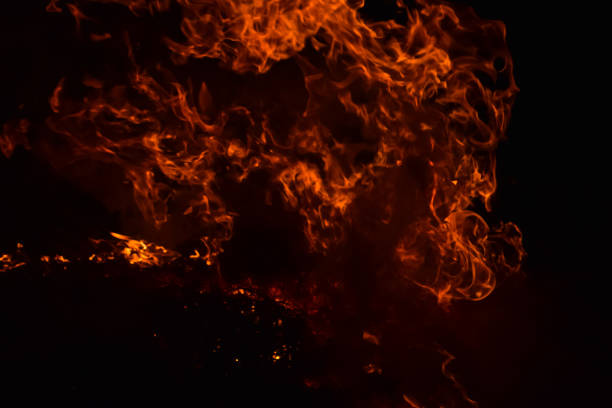 Fire. Burning of rice straw at night.