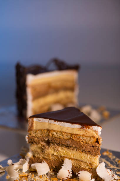 istock Slice of chocolate cake 649924346