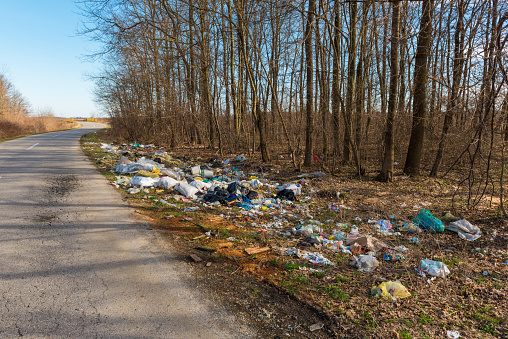 Side of the road, nature, woods, full of garbage, social issues, damaging environment