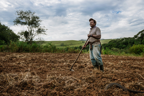 Valença (Rio de Janeiro), Brazil - January, 06, 2016:  Rural worker holding a hoe during cooperative work on a new land, to plant food for supply public schools in the area. The agriculture in small properties or even in houses backyards, is still quite usual in the south of the state of Rio de Janeiro.