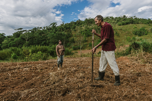 Valença (Rio de Janeiro), Brazil - January, 06, 2016:  Rural workers during cooperative work on a new land, to plant food for supply public schools in the area. The agriculture in small properties or even in houses backyards, is still quite usual in the south of the state of Rio de Janeiro.