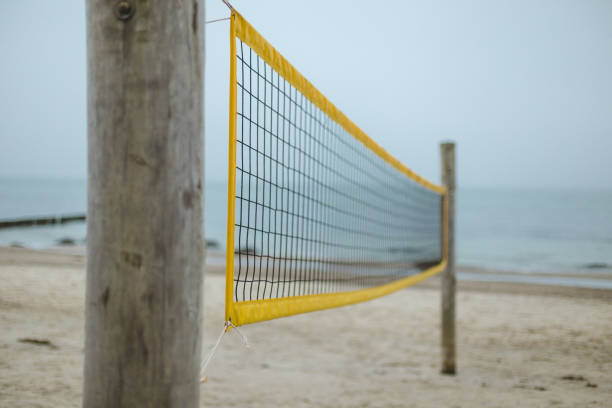 istock Are you for beach volleyball 649963582