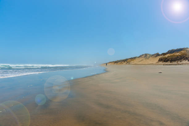 Wide flat sand between dunes and sea at Ninety Mile beach, Northland New Zealand