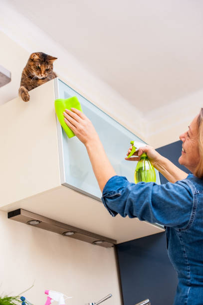 istock Adult Woman Playing With Cat While Cleaning The Kitchen 649975426