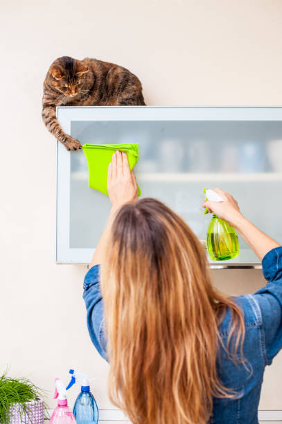 Adult Woman Playing With Cat While Cleaning The Kitchen