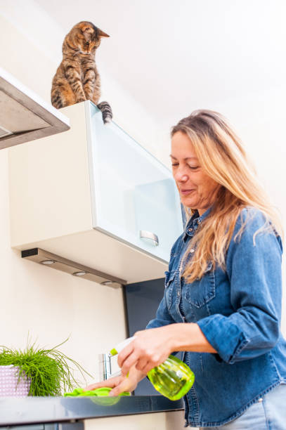 istock Adult Woman Playing With Cat While Cleaning The Kitchen 649975510