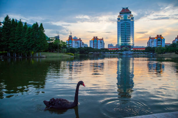 istock campus of xiamen university in China 649983070