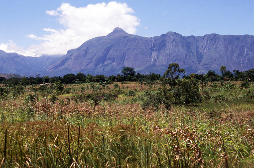 Maize fields in valley below Mulanje Massif a major batholith volcanic landscape feature in southern Malawi Africa