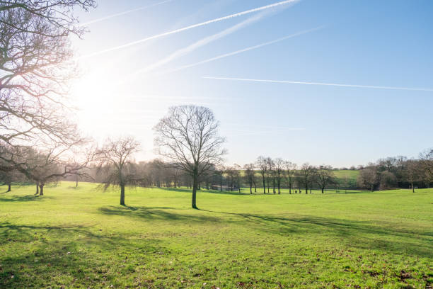 istock Roundhay Park, Leeds, United Kingdom. 650001308