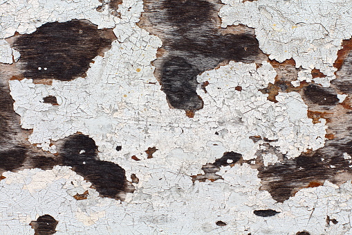 Texture, pattern, background. old paint. Many layer Wood wall cracked paint, With white tone paint flakes off over time