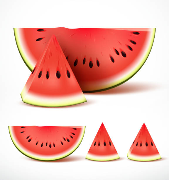 illustrazioni stock, clip art, cartoni animati e icone di tendenza di set di anguria rossa matura affettata in vettore realistico 3d - watermelon melon fruit juice