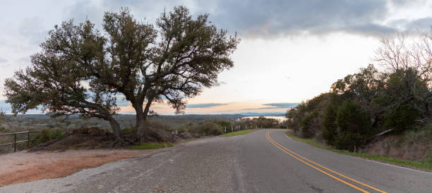istock Large Tree By A Curve On The Road 650034574