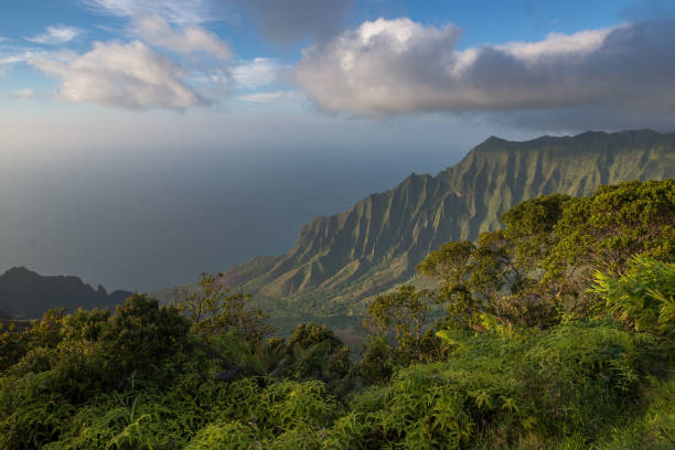 istock Kalalau lookout 650044624