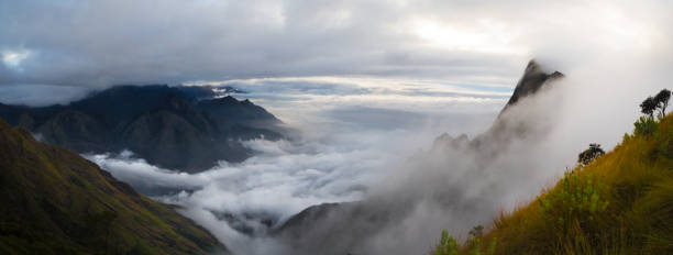 istock Kolukkumala,Kolukkumalai,Misty mountain 650045084