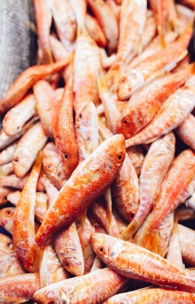 Fish Market
