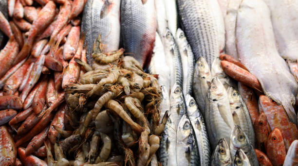 istock Street Fish Market 650045864