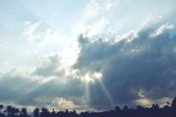 istock Sunlight or Beam shooting from behind the cloud down to  trees  silhouette 650087740