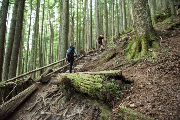 istock Couple hiking in countryside 650102524