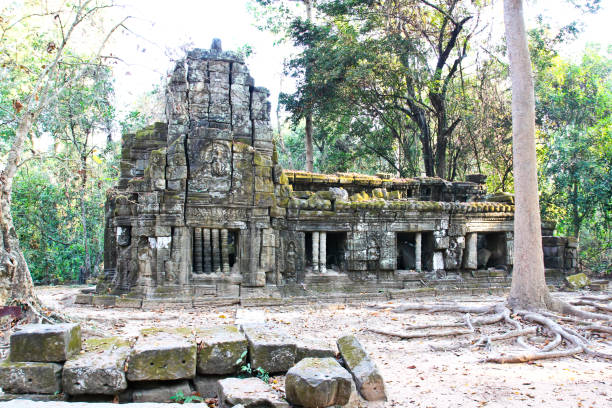istock Ta Prohm Temple in Angkor, Siem Reap, Cambodia 650106402