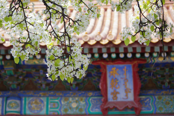 istock The Forbidden City in Beijing - China 650113436