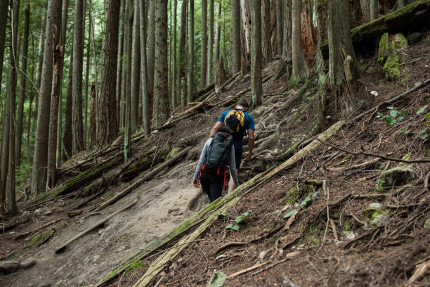 istock Couple hiking in countryside 650117792