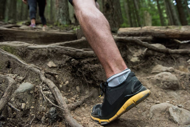 istock Low section of hiker hiking in countryside 650117856