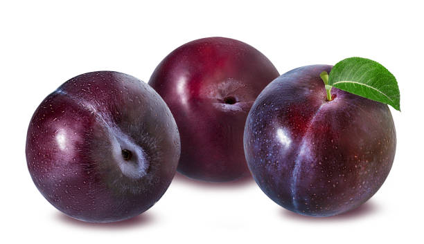 plum on a white plum on a white background plum stock pictures, royalty-free photos & images