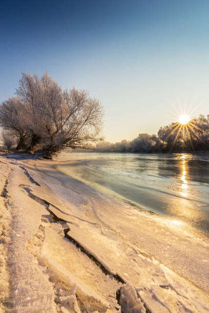 istock Beautiful sunrise winter scenery with trees covered by frost 650126098