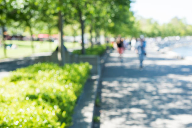istock Blur view of park 650128600