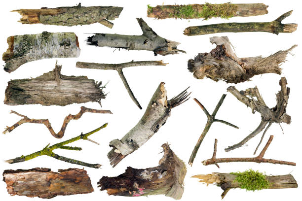 Clumsy rough ugly forest wooden artifacts isolated collage