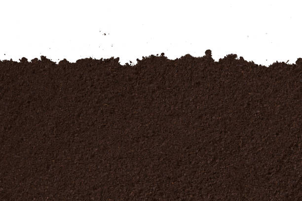 istock Clean brown texture of soil isolated on white background 650138076