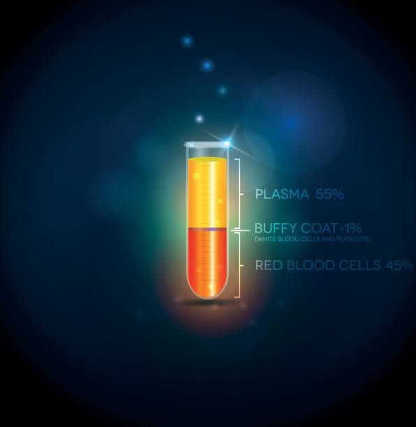 probówka z krwinek, osocza, buffy płaszcz i czerwonych krwinek. - blood cell anemia cell structure red blood cell stock illustrations