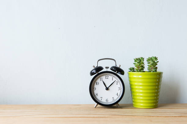 istock Indoor plant and clock on wooden table and white wall 650159368