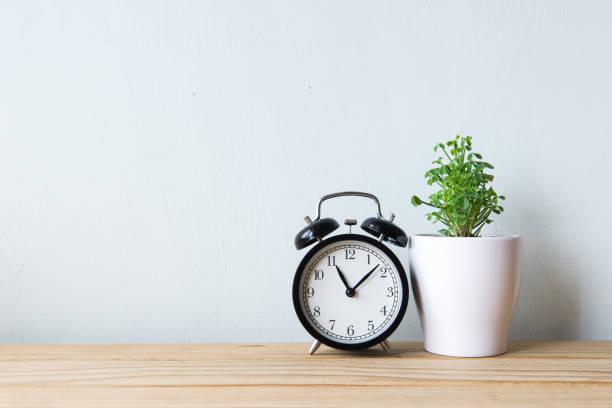istock Indoor plant and clock on wooden table and white wall 650159382