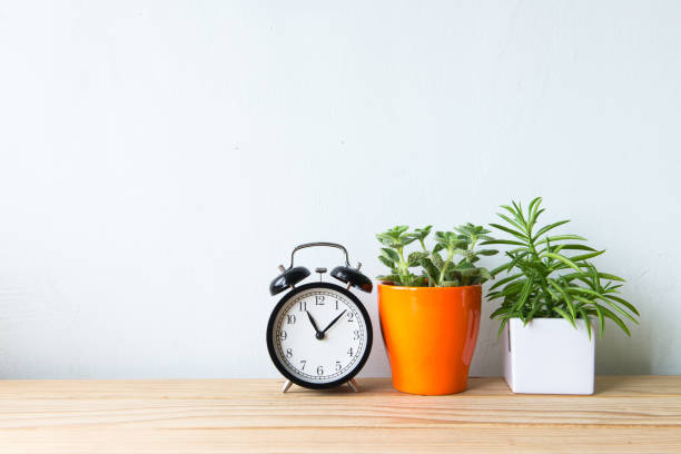 istock Indoor plant and clock on wooden table and white wall 650160024