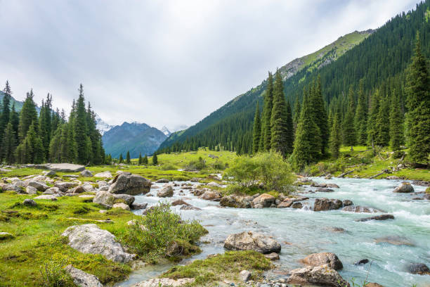 istock Mountain landscape with a turbulent river, Kyrgyzstan. 650162788