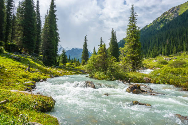 istock Mountain landscape with a turbulent river, Kyrgyzstan. 650162838