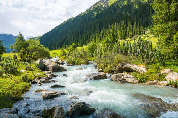 istock Mountain landscape with a turbulent river, Kyrgyzstan. 650162864