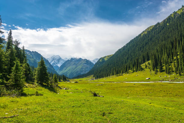istock Mountain landscape with snow-capped peaks, Kyrgyzstan. 650163242