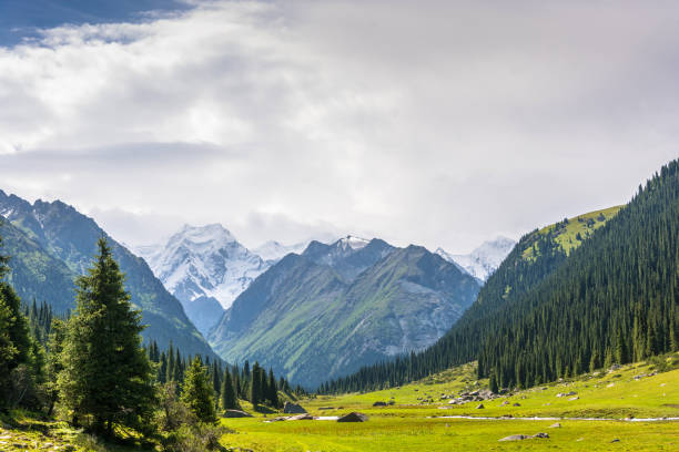 istock Mountain landscape with snow-capped peaks, Kyrgyzstan. 650163258