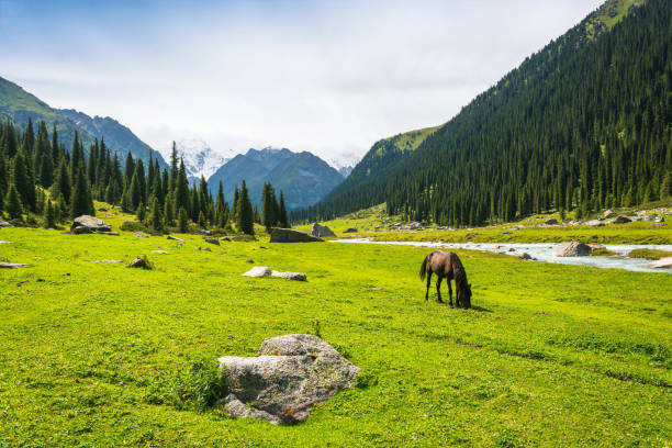 istock Mountain landscape with snow-capped peaks, Kyrgyzstan. 650163330
