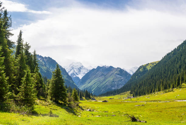 istock Mountain landscape with snow-capped peaks, Kyrgyzstan. 650163692