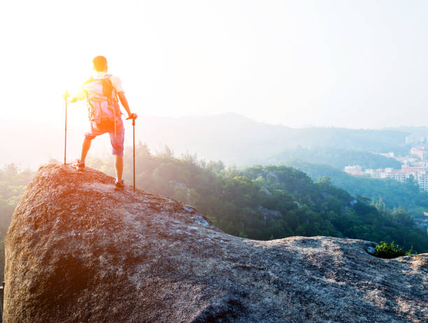 istock Male hiker standing on a rock 650173824