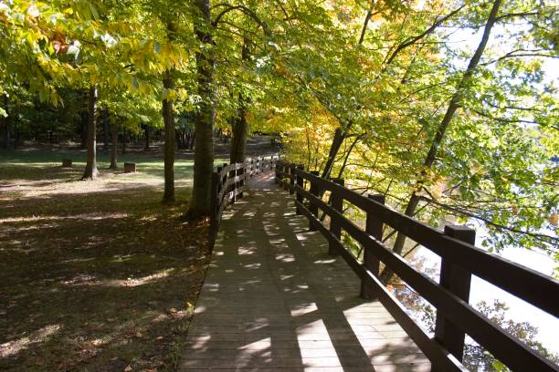 istock Road's edge and guardrails on a path in a park in early fall, Michigan. 650187908