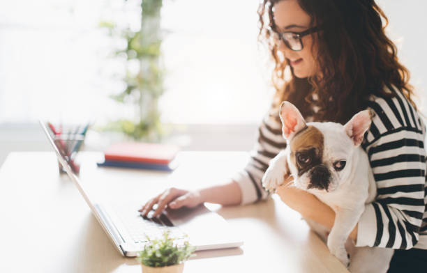 istock I'm not under stress when this cutie is here! 650228766