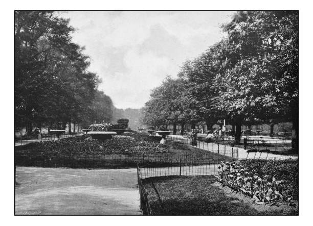 istock Antique London's photographs: Flower walk, Regent's Park 650234670