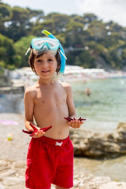 istock Little boy holding red five point starfishes in his hands 650234868