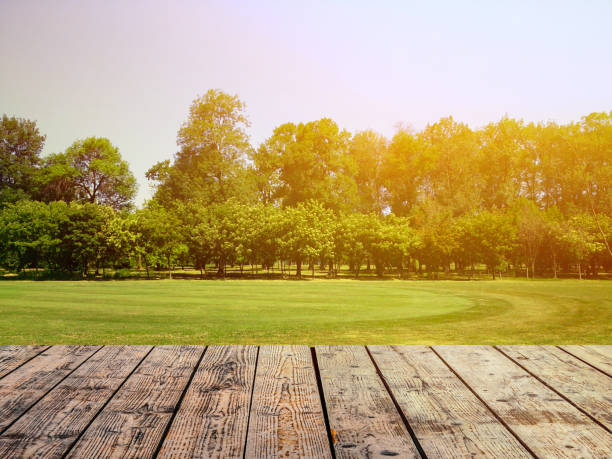 istock Empty wooden floor against green forest with meadow 650238436